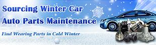 Winter Car Maintenance 2015