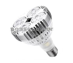 Dimmable 30W Par30 LED Lamps