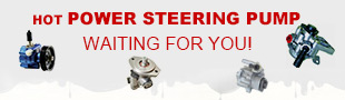 Hot Power Steering Pump waiting for you!