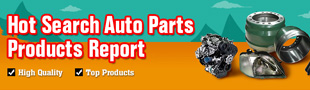 Hot Search Auto Parts Products Report